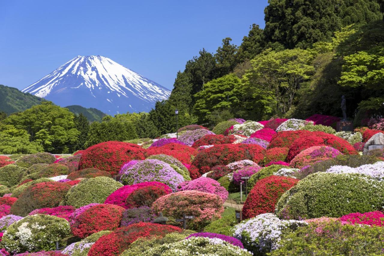 Yutorelo-An Annex Hakone Ngoại thất bức ảnh